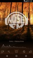 Noise FM poster