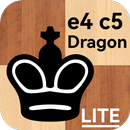 Chess - Dragon variation APK
