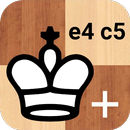 Combinaisons Siciliennes + APK