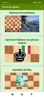 Colección de ajedrez Poster