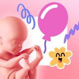 maam отслеживайте беременность APK