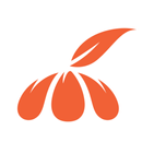 Mandarin: Семья ресторанов APK