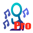 Music online Pro APK