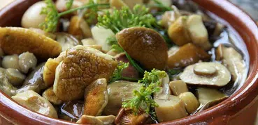 Маринованные грибы. Рецепты