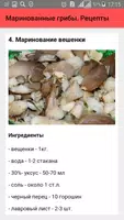 Маринованные грибы. Рецепты screenshot 3
