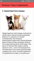 Чихуахуа. Уход и содержание screenshot 2