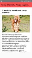 Кокер спаниель. Уход и содержа screenshot 3