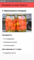 Помидоры на зиму. Рецепты screenshot 6