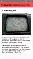 Выращивание шампиньонов. Совет screenshot 3
