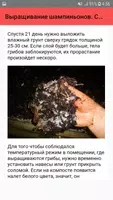 Выращивание шампиньонов. Совет screenshot 4