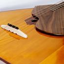 Русские народные инструменты APK