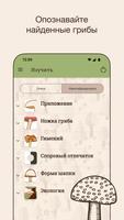 Гриб ID الملصق