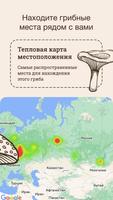 Гриб ID تصوير الشاشة 1