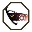 Profy Taxi/Courier