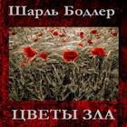 Цветы зла  Шарль Бодлер-icoon