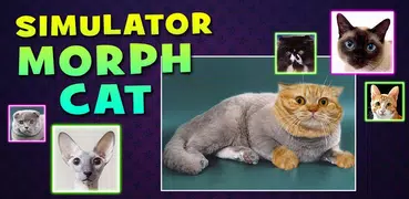 Simulatore Morph Cat