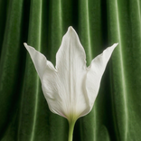 ”Снежная Королева