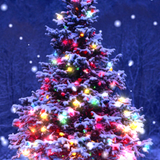 Christmas Live Wallpaper APK