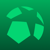 Ball in Goal: Fútbol APK