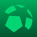 Ball in Goal: Soccer Training APK