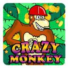 Monkey World Story icône