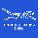 Трансформация силы 2024