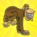 Crazy monkey