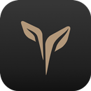 Prime Park APK