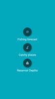 Fishing Forecast poster