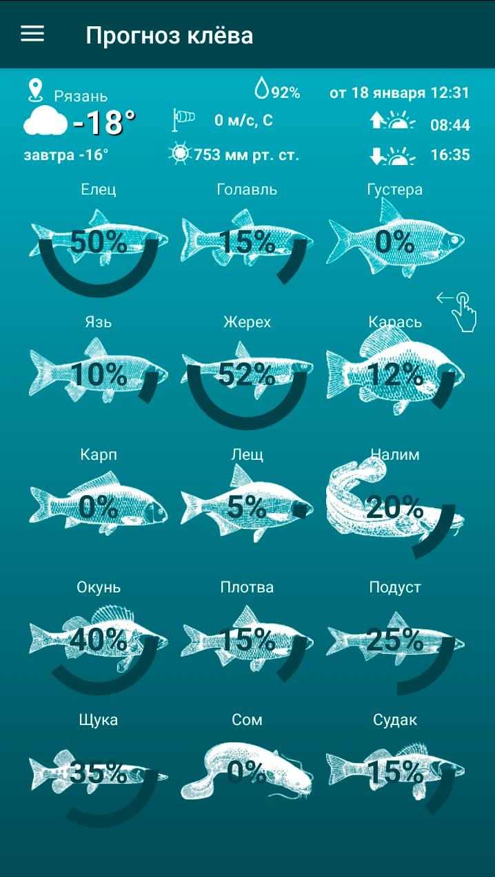 Прогноз клева в гродно. Прогноз клева. Приложение клев. Андроид прогноз клева. Прогноз клёва голавля.