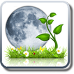 Лунный календарь садовода