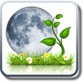 Garden Calendar