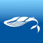 FitnessKit.Тест icon