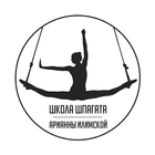 Школа шпагата – Новосибирск icono