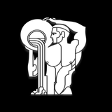 PLATINUM GYM icône