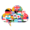 Flags countries world - Quiz icon