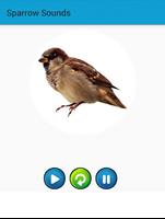 Sparrow Sounds capture d'écran 2