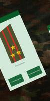 Угадай погоны и воинские звания ВС РФ Plakat