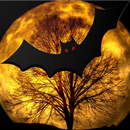 Было страшно 12+ APK