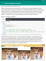 HTML и CSS на примерах screenshot 6