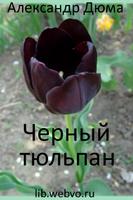 Черный тюльпан, Александр Дюма Affiche