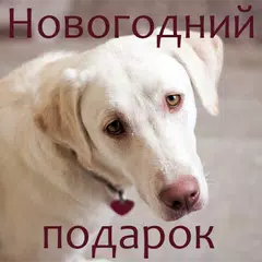 Новогодний подарок アプリダウンロード