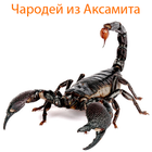 Чародей из Аксамита आइकन