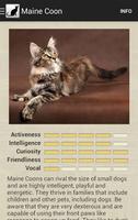 برنامه‌نما Cat Breeds عکس از صفحه