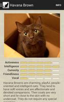 Cat Breeds 截图 2