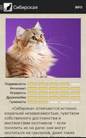 Породы кошек скриншот 3