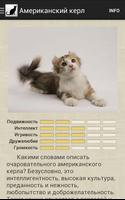 Породы кошек скриншот 1