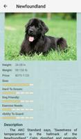 برنامه‌نما Dog Breeds عکس از صفحه