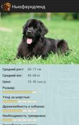 Породы собак скриншот 1