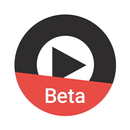 TMDriver Beta (inner) APK